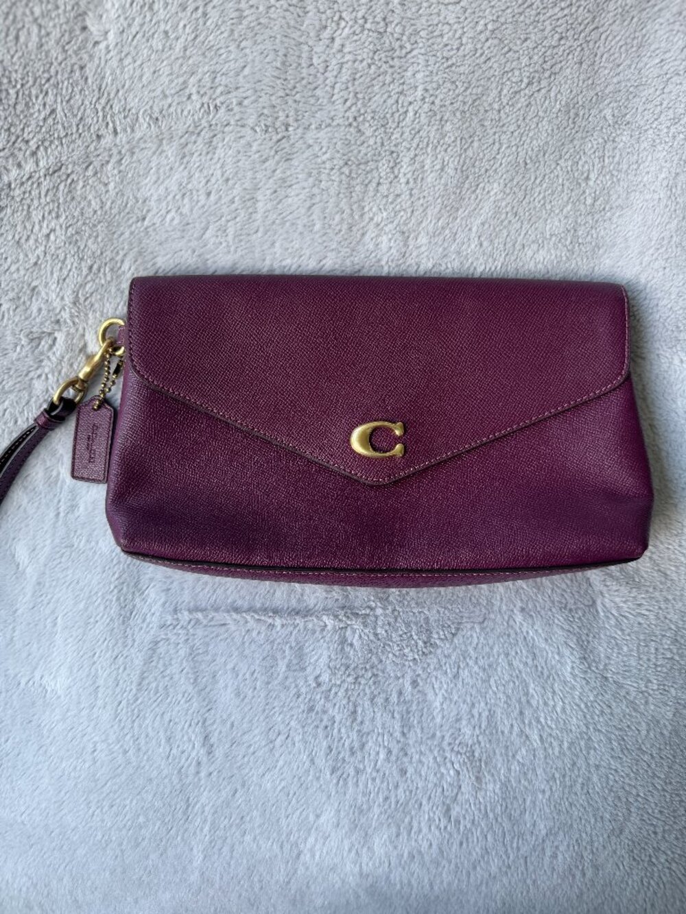 Coach Wyn Clutch in Purple (Style CC487)